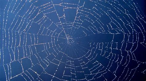 Image result for Tim Cook Make the Complex Simple