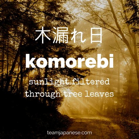 12 Beautiful and Untranslatable Japanese Words | Rencana