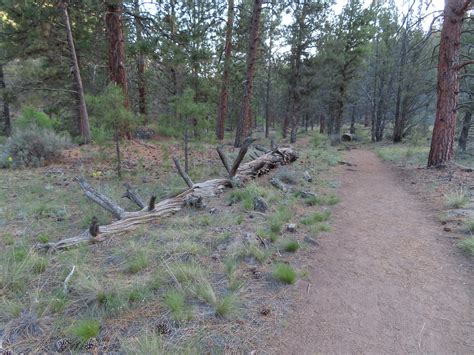 Riley Ranch Nature Preserve to Tumalo State Park – 05/29/2023 ...