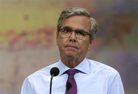 These 11 Jeb Bush Memes Hilariously Showcase How Many Americans Feel ...