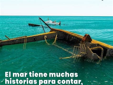 CRUCEROS ECOLOGICOS (2025) All You Need to Know BEFORE You Go (with ...