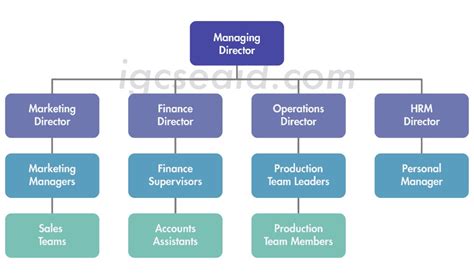 Management 的图像结果