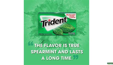 Buy Trident Sugar Free Chewing Gum Spearmint 14 Pieces Online at Best ...