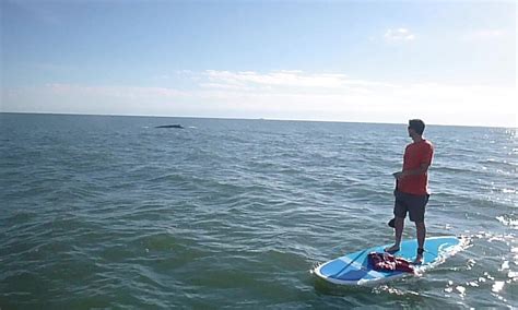 Rudee Inlet Stand Up Paddle (Virginia Beach) - All You Need to Know ...