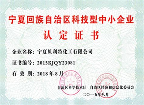 宁夏回族自治区科技型中小企业认定证书-贝利特化学股份有限公司