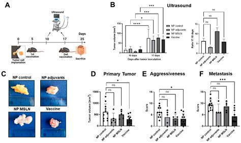 Anti-Tumor Efficacy of a Mesothelin-Based Nanovaccine in a KPC ...