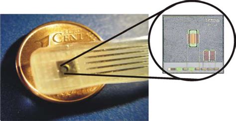 ISFET Based Microsensors for Environmental Monitoring
