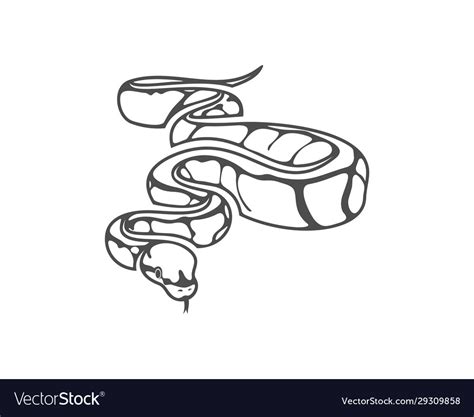 Image result for Python Snake Logo Sticker