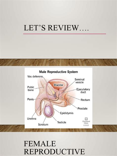 Image result for DepEd Module Female