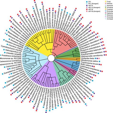 Rezultat imagine pentru Consensus Sequence Example