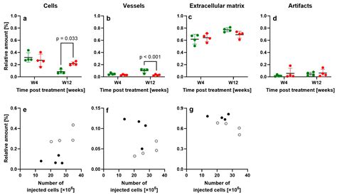 Regeneration of Biomechanically Functional Tendon Tissue Following ...