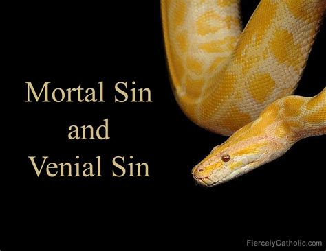 What Are Venial Sins