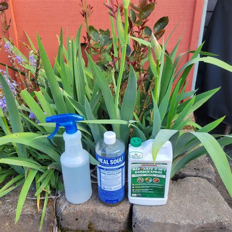 Pest Control with Everett Codd - Northwest Center for Alternatives to ...