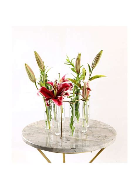 Test tube flower vase | Buy circular test tube vase | Kalpané