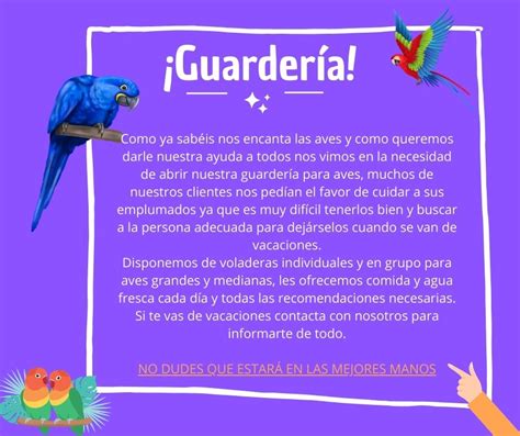 Guardería para loros y guacamayos【AVIMUN Loros】