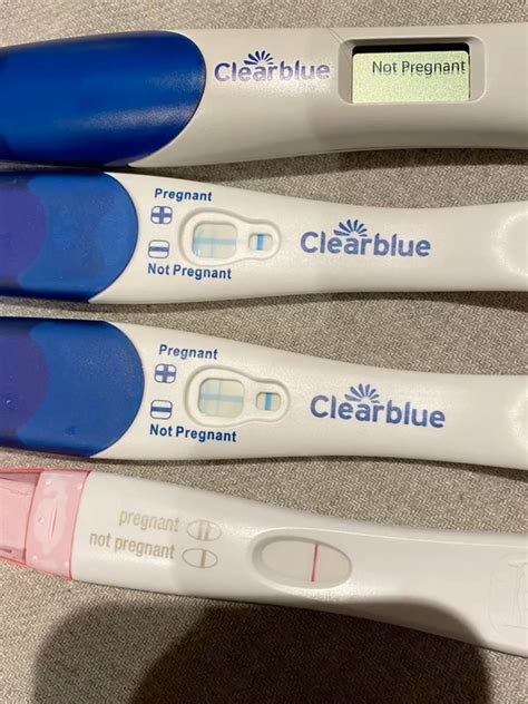 Pin by Brandon Johnson on Pins by you | Positive pregnancy test, Faint positive pregnancy test ...