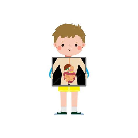 Premium Vector | Cute cartoon european kid with xray screen showing internal organs and skeleton ...