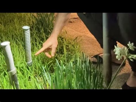 Image result for How to Use Gopherhawk