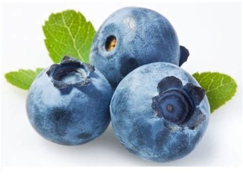 Natural Fresh Blueberry Exporter, Supplier from Chennai