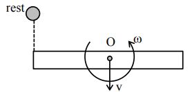 A rod of mass M and length L is lying on a horizontal frictionless ...