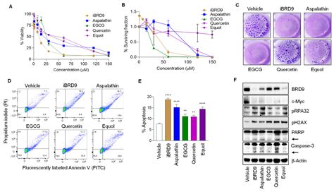 BRD9 Inhibition by Natural Polyphenols Targets DNA Damage/Repair and ...