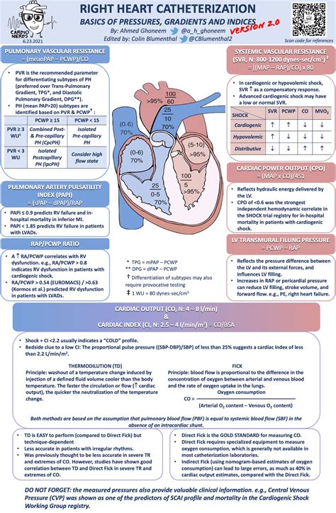 Cardiovascular Infographics Grouped by Catagory - Cardionerds