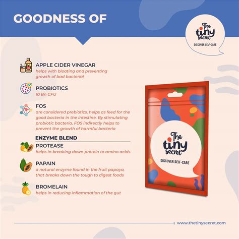 Buy THE TINY SECRET FIT MINTS DIGESTION CHEW TABLETS MEETHA PAN FLAVOUR ...