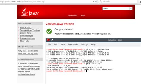 Java Plug-in Enable 的图像结果