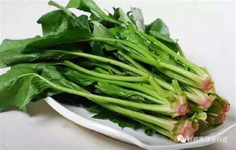 12种春天当季蔬菜 越吃越美_大申网_腾讯网