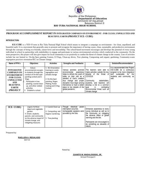 Image result for Program Report