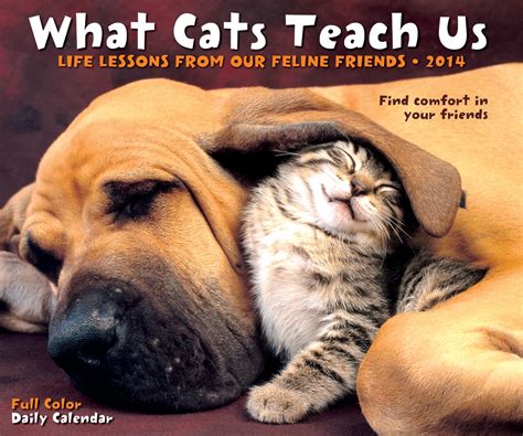 What Cats Teach Us 2014 Calendar: Life Lessons from Our Feline Friends ...