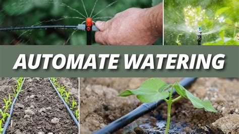 Image result for Drip Irrigation Layout Plan