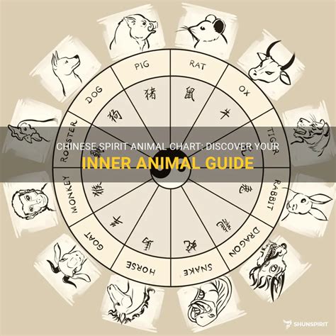 Chinese Spirit Animal Chart: Discover Your Inner Animal Guide | ShunSpirit