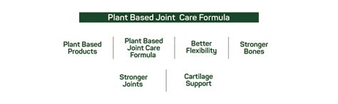 Buy Smart Greens Plant Based Joint Care Formula with Glucosamine ...