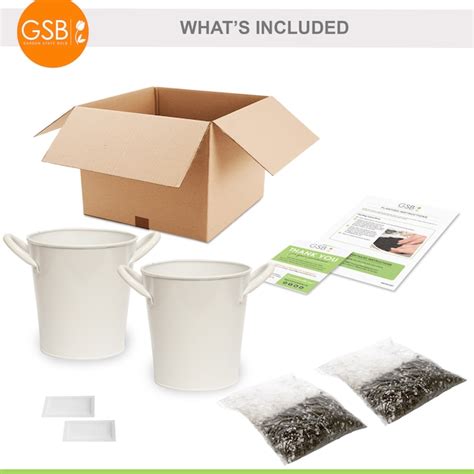 Garden State Bulb Cat Grass and Catnip Herb Kit Seeds 2-Count ECS-34-CC ...