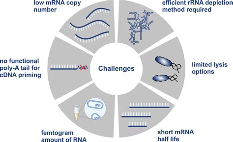 Image result for Transcriptomics technologies Single-cell Transcriptomics