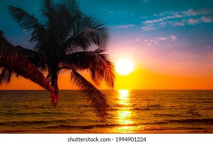 Image result for Sunset Climb O2