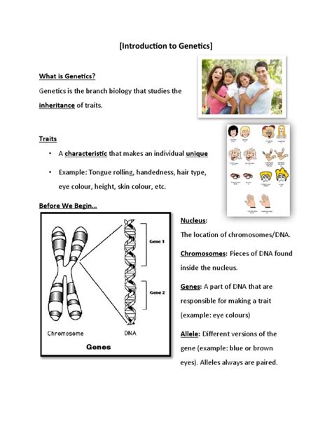 Genetics Basics 的图像结果