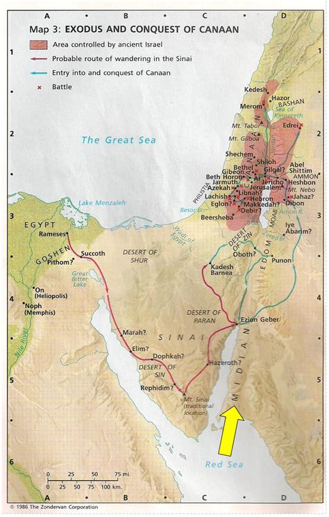 Midianites – Michelle Lesley