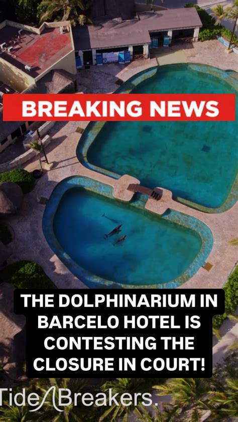 Maya Pryce Waterpark