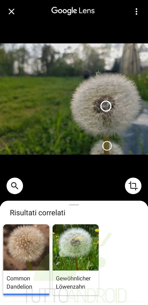 Google Foto: download APK, novità e smartphone supportati - TuttoAndroid