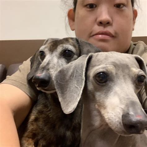 KALAPANA 50, Waikīkī Shell, Waikiki, 4 October 2025 | AllEvents