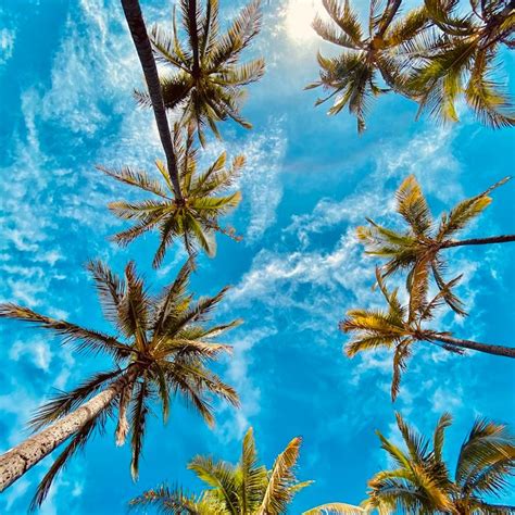 Cozy Couple Experience: Fireplace & Charcuterie + Jacuzzi, Lotus Home ...