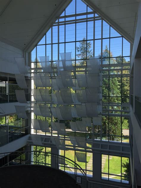 Everett Walk In Clinic Marysville 93