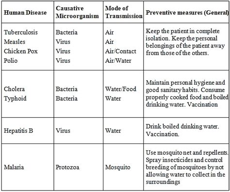 Microorganisms - Friend and Foe Summary Class 8 NCERT Summary