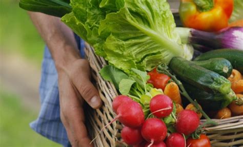 Local Food Sources 的图像结果