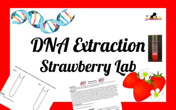 Extracting Strawberry DNA Lab 的图像结果