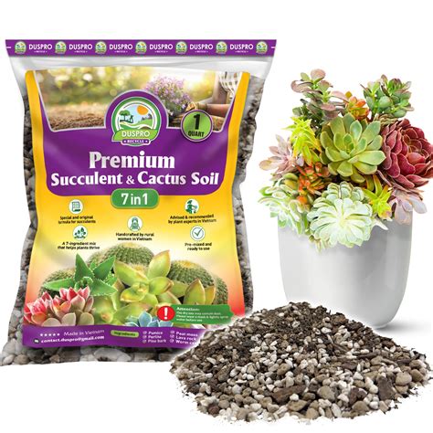DUSPRO Succulents Soil Potting Mix – 7 in 1 Ingredients Well-Draining ...