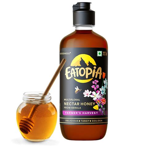 Eatopia Farmer's Harvest Honey Squeeze Bottle | Pure Honey with No ...