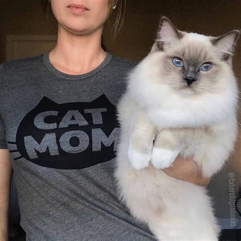 Cat Mom, The Original Cat Mom Shirt, Cat Mom T-Shirt, Crazy Cat Mom ...